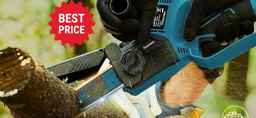 Mini motosega a batteria per taglio e potatura anche senza essere esperti