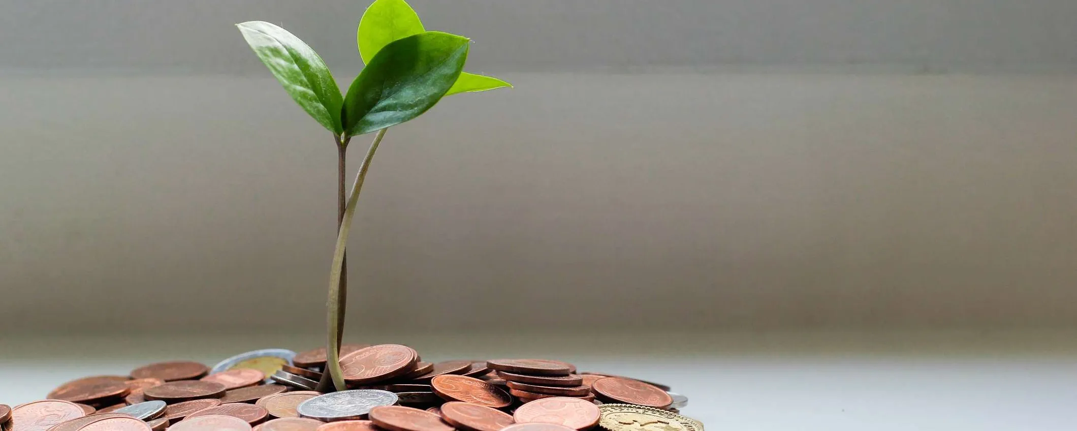 Conto Deposito con interessi al 4% per 6 mesi: QUESTA è la MIGLIORE OFFERTA