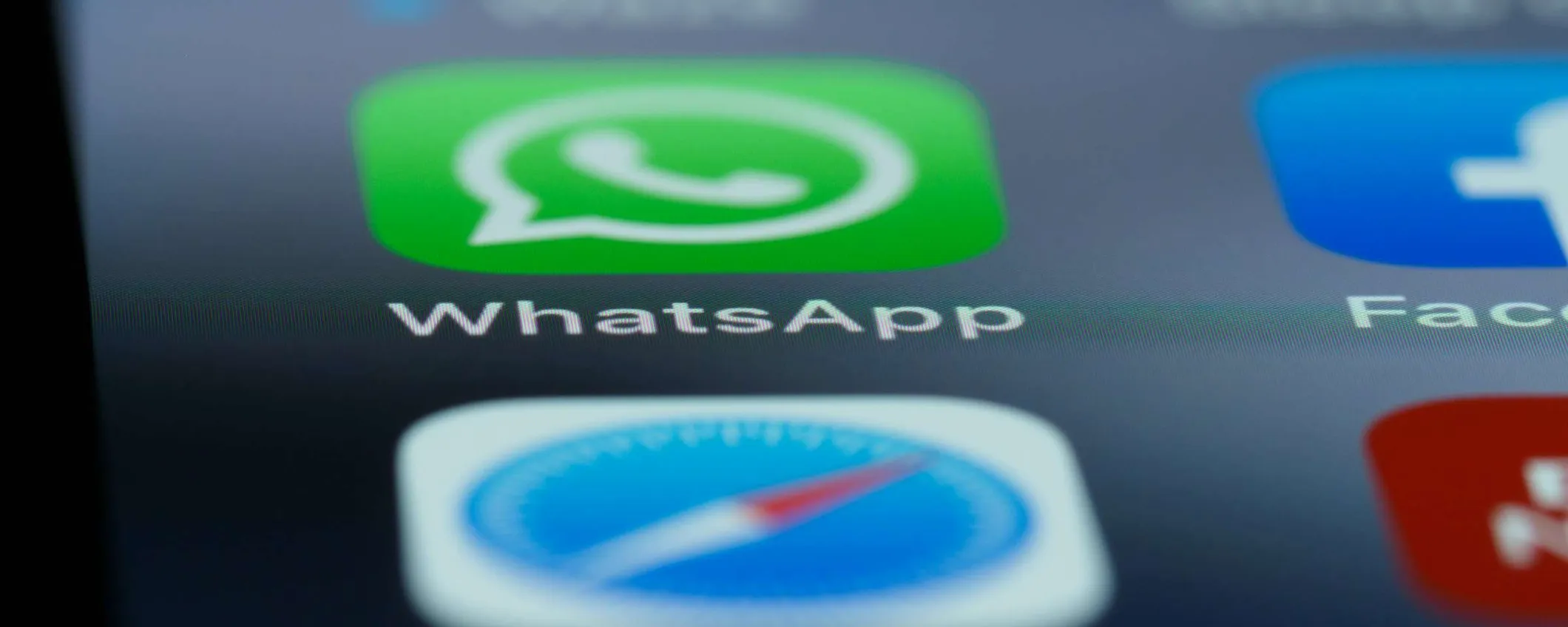 WhatsApp, fra poco potrai fare logout senza perdere le chat