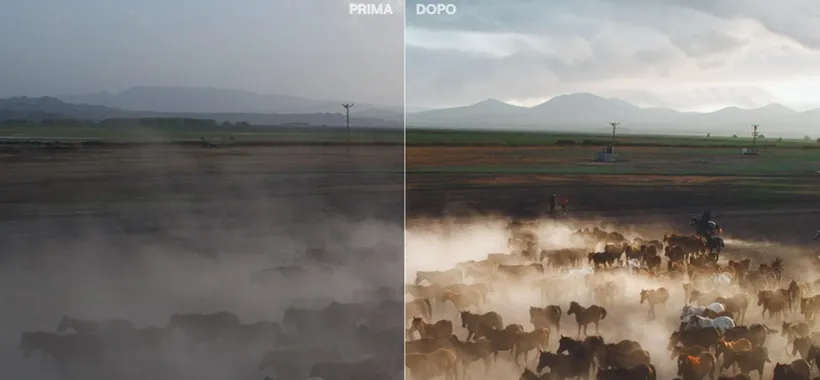 Cos'è e come utilizzare Luminar Neo