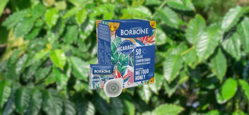 Cialde Caffè Borbone Nicaragua: ESPERIENZA UNICA a prezzo top