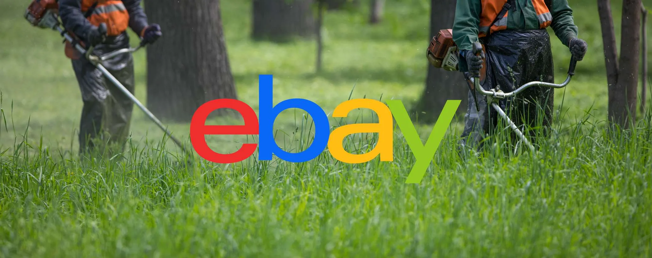 Potente decespugliatore a scoppio sotto i 99€ su eBay