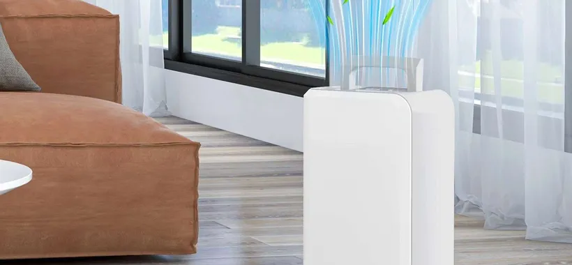 Puoi dire basta alla muffa in casa con questo deumidificatore in super SCONTO
