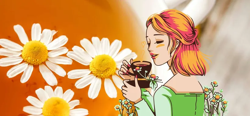 Capsule Ristora Dolce Gusto VARI GUSTI al 22% di SCONTO
