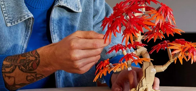 Il nuovo LEGO Bonsai di Acero Rosso Giapponese è già in OFFERTA su Amazon