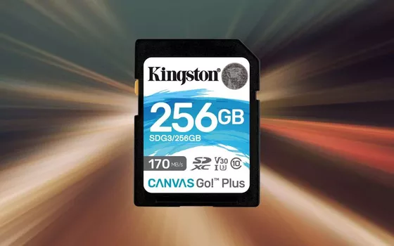 Scheda SD Kingston 256GB: prezzo BOMBA su Amazon (20€)