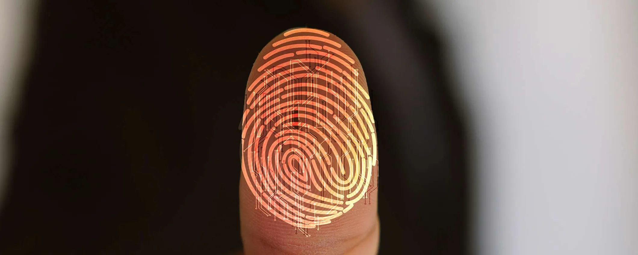 Sempre più smartphone Android potrebbero integrare lo scanner a ultrasuoni