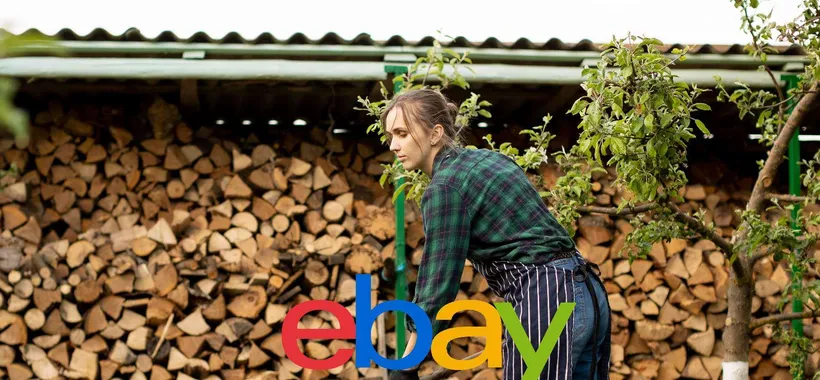 Legna ordinata e sicura per il tuo camino? Queste soluzioni eBay a basso costo sono una genialata