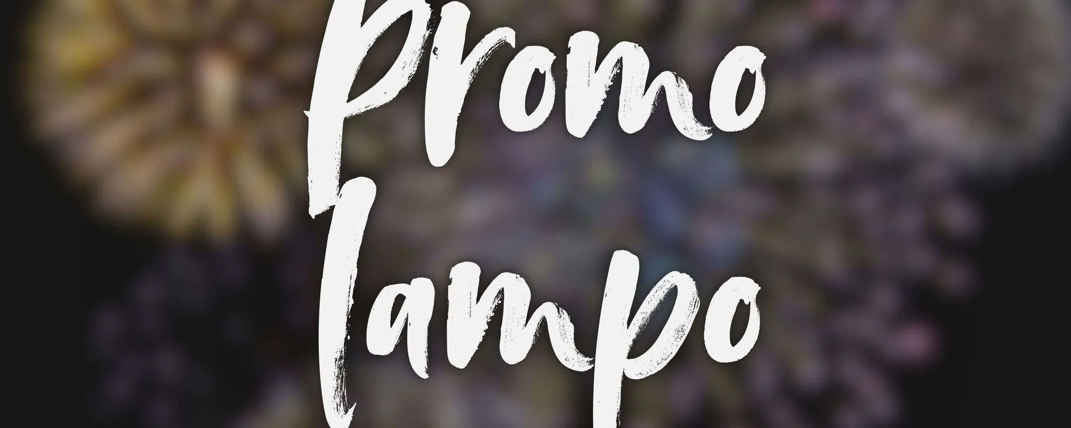 Promo lampo Amazon SENSAZIONALI per il 23/5: tutto il meglio da 15€