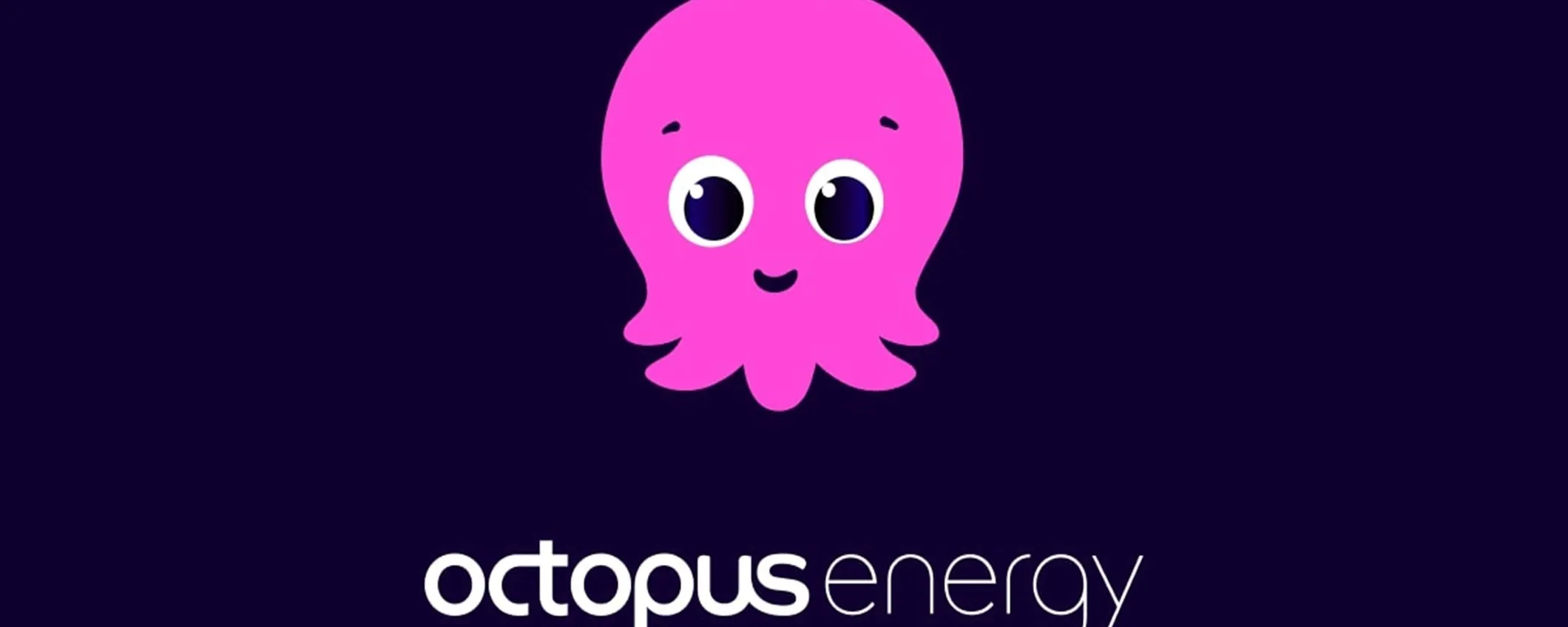 Taglia i costi di luce e gas: la convenienza delle tariffe Octopus