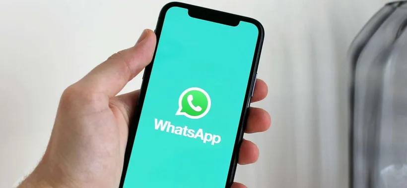 WhatsApp: il significato dei diversi tipi di spunte