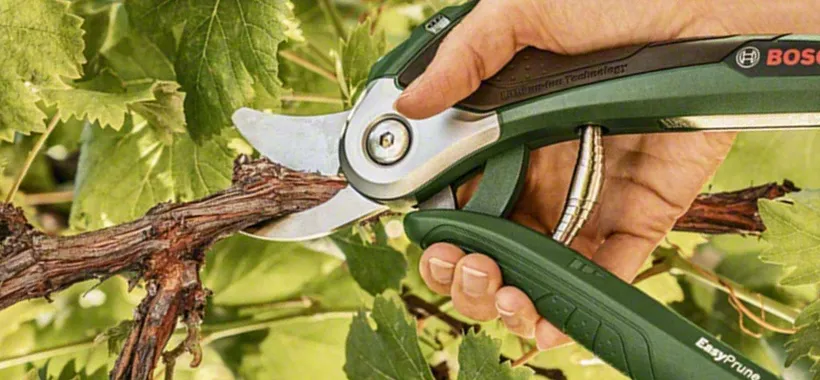 Migliori forbici da potatura elettriche