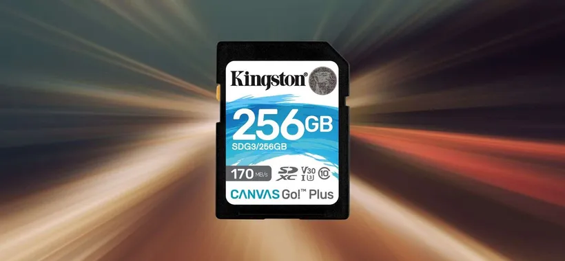 Scheda SD Kingston 256GB: prezzo BOMBA su Amazon (20€)