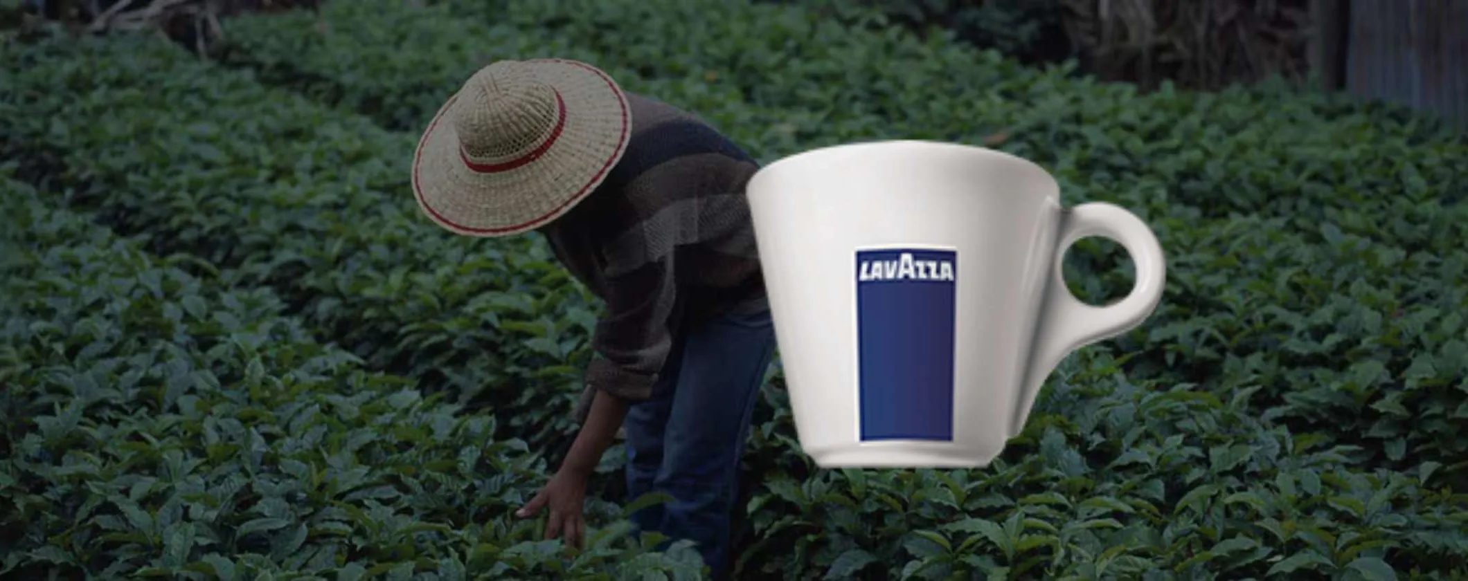 Offerta Bomba per le Capsule Caffè Lavazza Nespresso su eBay