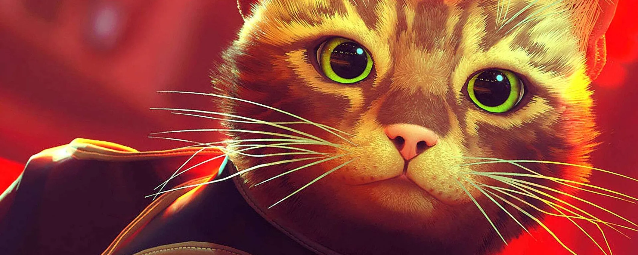 Stray per PS5 è in SUPER OFFERTA su Amazon: costa meno di 20€