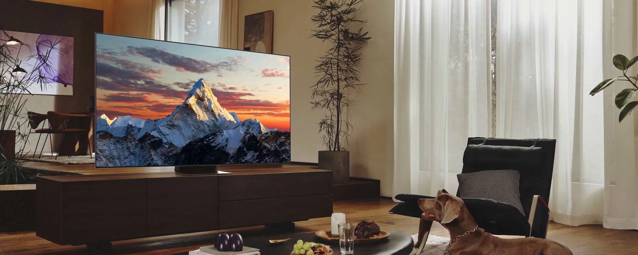 TV QLED Samsung da 50