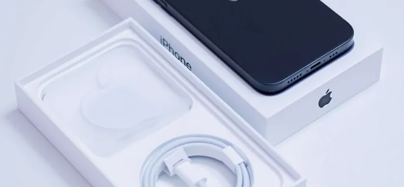 Apple: multata a causa del caricabatterie, pare