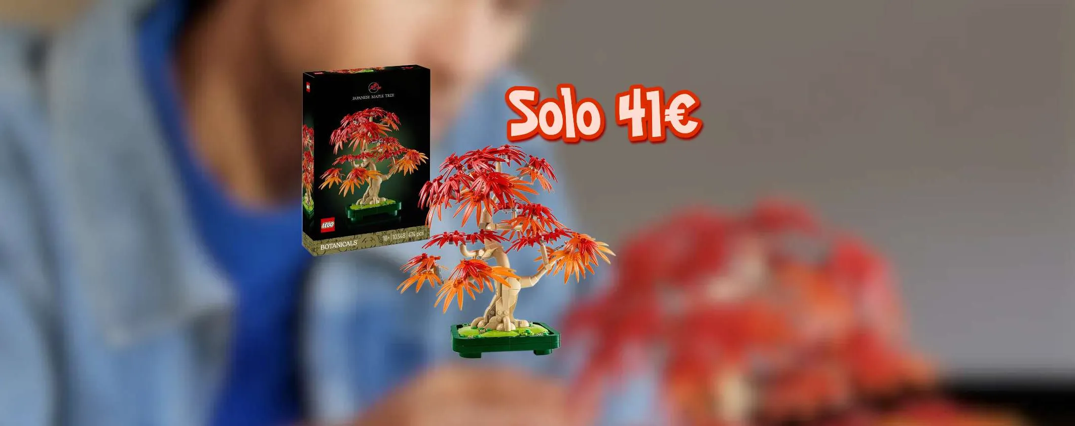 LEGO Botanicals Bonsai di Acero Rosso Giapponese a soli 41€ su Amazon