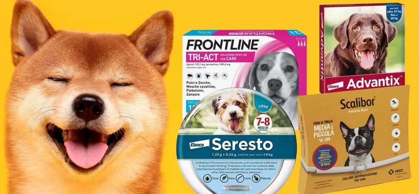 Antiparassitario di qualità per cani: i MIGLIORI costano molto meno su Amazon