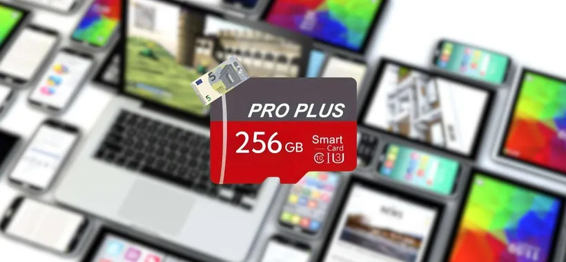 MicroSD 256GB a soli 5€ su TEMU: ULTIMI PEZZI