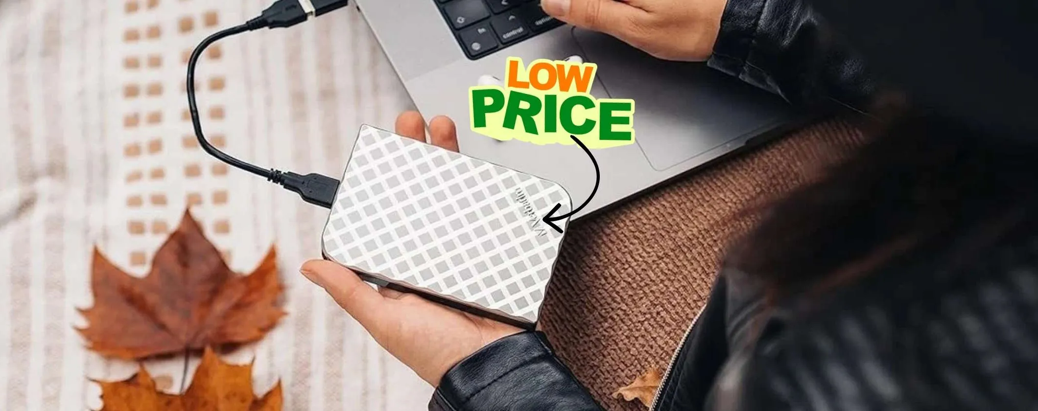 Hard Disk portatile Verbatim da 2TB: archivia di tutto spendendo pochissimo (73€)