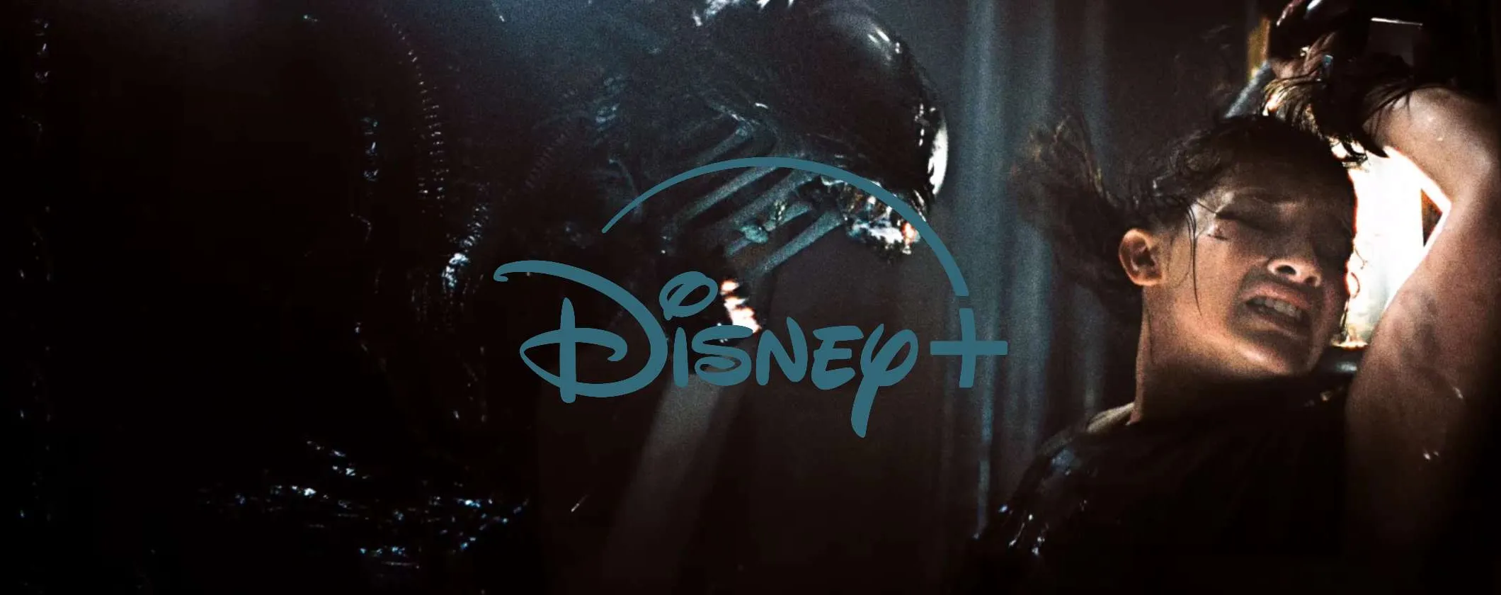 Disney+: film, serie e docu in arrivo a maggio 2025