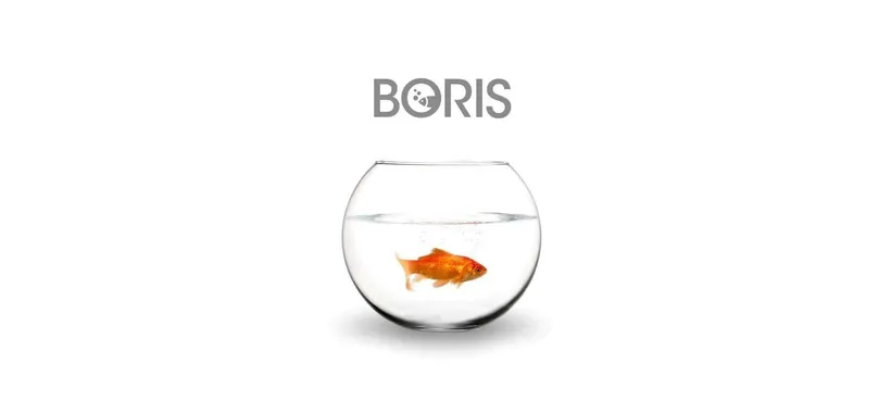 Boris, su Disney+ i nuovi episodi: risparmia ORA 2 mesi di abbonamento