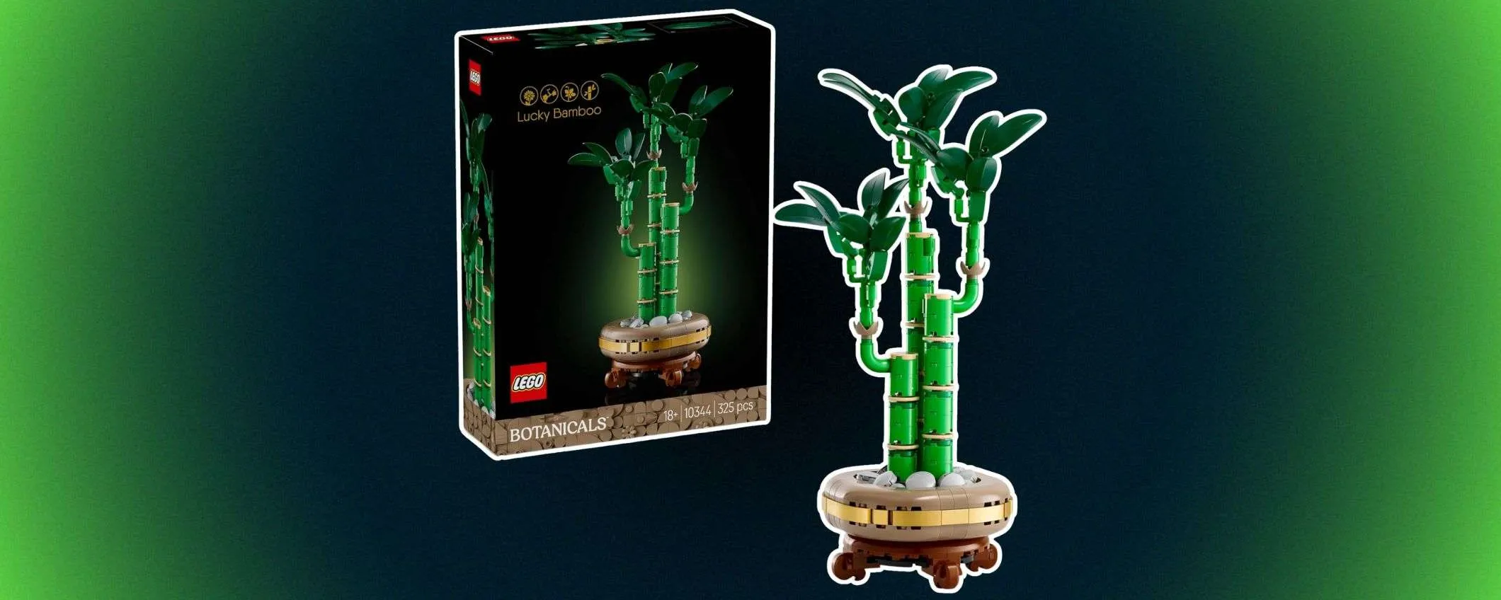 Set LEGO Bambù: il prezzo scende ancora su Amazon, ora costa POCHISSIMO