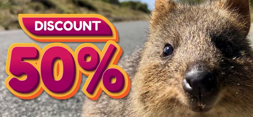 Amazon della FELICITÀ, tutto al 50%: 5 cose utilissime da 10€ fino a 25€