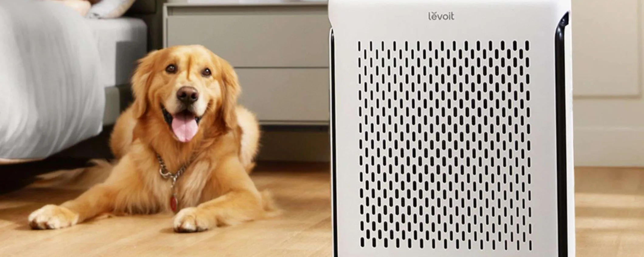 Purificatore d'aria intelligente? Questo è in offerta ad un prezzo iper-conveniente