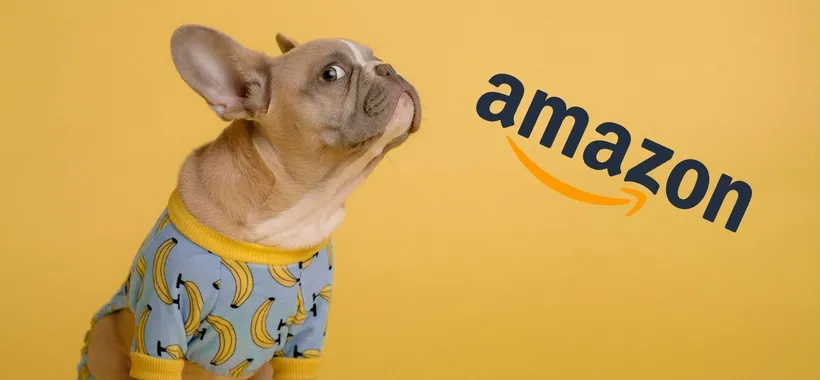 Amazon: 5 ASSURDITÀ economiche che non hai mai visto