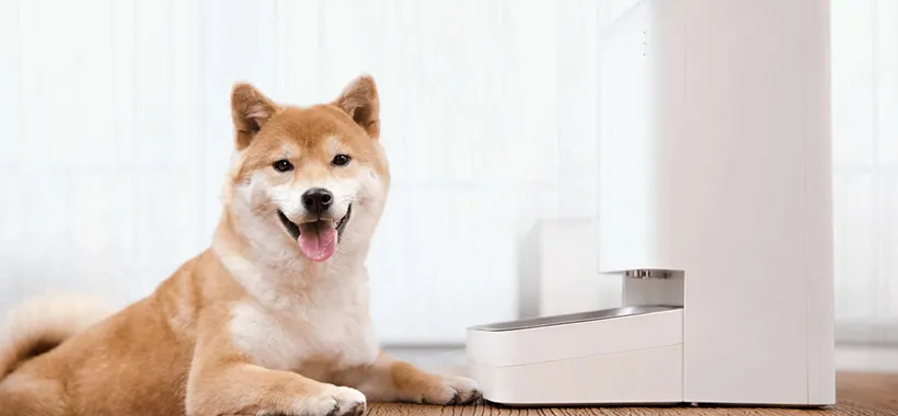 Xiaomi Smart Pet Food Feeder torna in offerta: la soluzione DEFINITIVA quando sei in vacanza