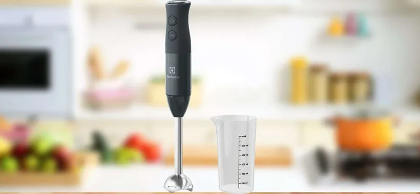 Frullatore a immersione Electrolux: REGALO EBAY, tuo a 19,99 euro (-50%)