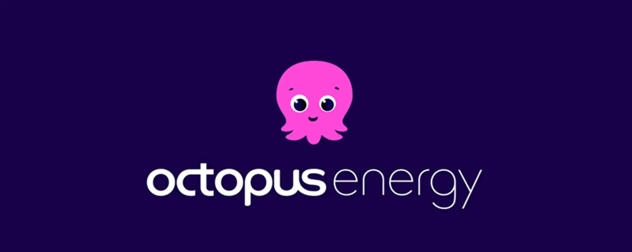 Luce e gas a prezzo fisso e niente rincari con Octopus Energy