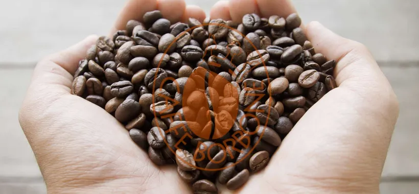 Capsule Caffè Borbone per Nespresso al minimo storico su eBay