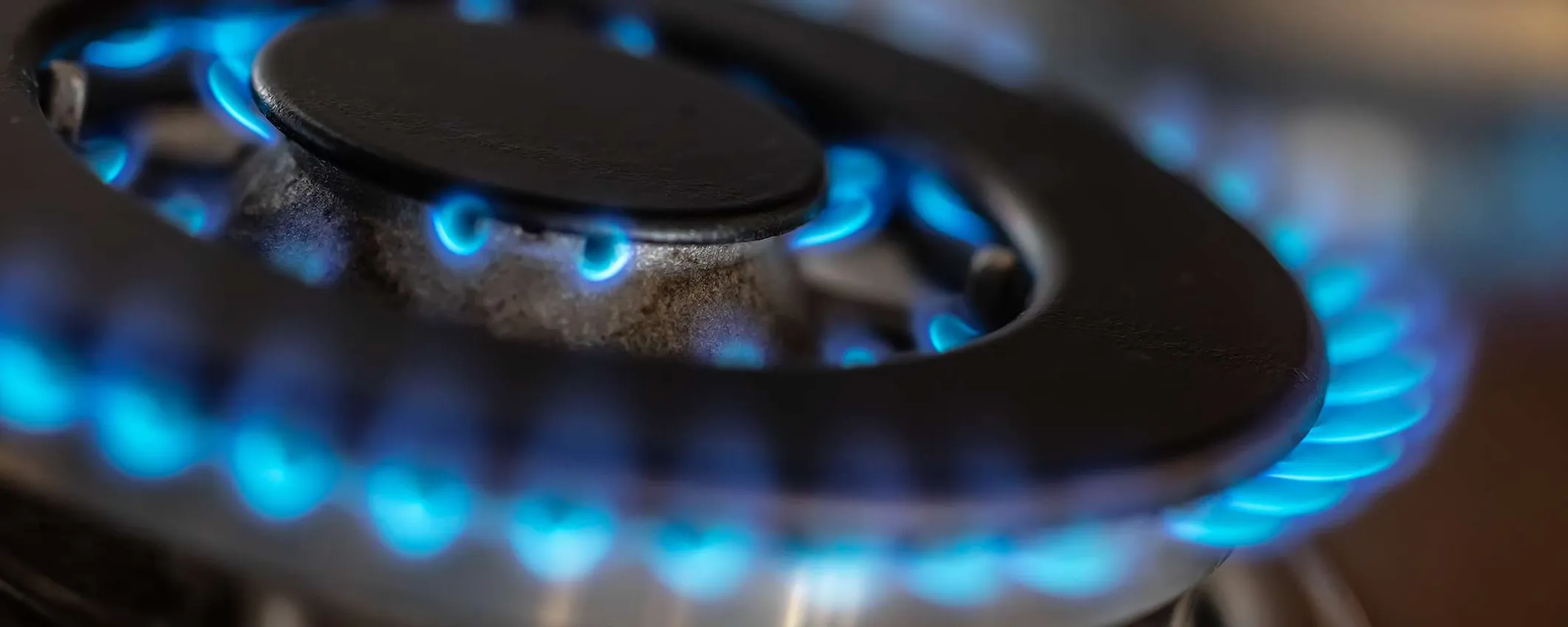 Bollette salate in arrivo: blocca il prezzo di luce e gas con Octopus Energy