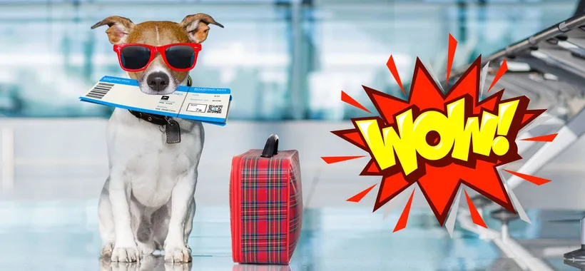 Come viaggiare in aereo senza pagare extra per i bagagli (3 trucchi)