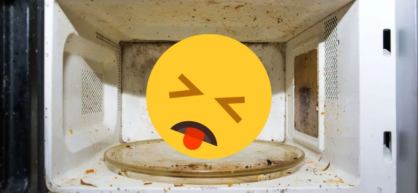 Dopo aver scoperto questo NON scalderai più acqua nel microonde