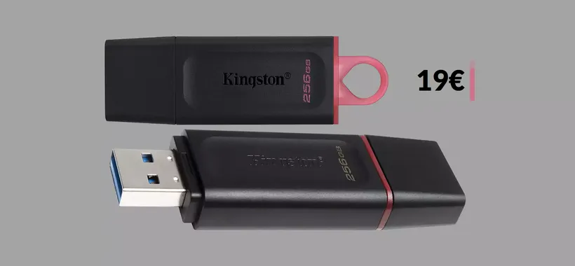 Solo 19€ per questa POTENTISSIMA chiavetta USB da 256GB