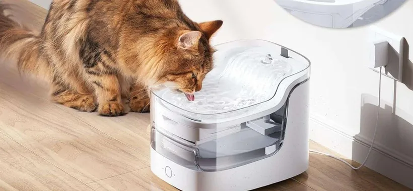 Fontanella per gatti smart, ultra-silenziosa e con WiFi: sconto su Amazon