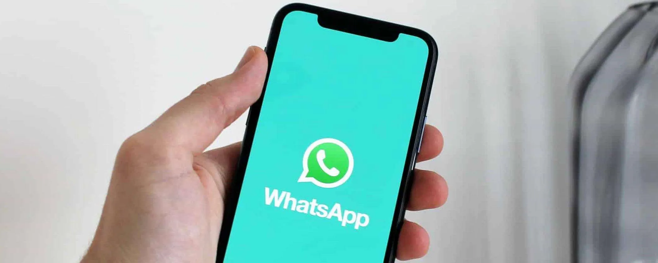 WhatsApp scopre le bozze, e Telegram le dice: 