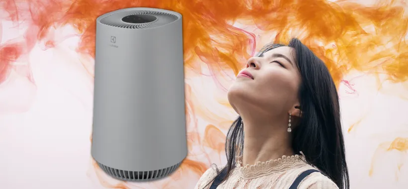 Elmina l'aria cattiva con questo Purificatore Electrolux a un prezzo BOMBA