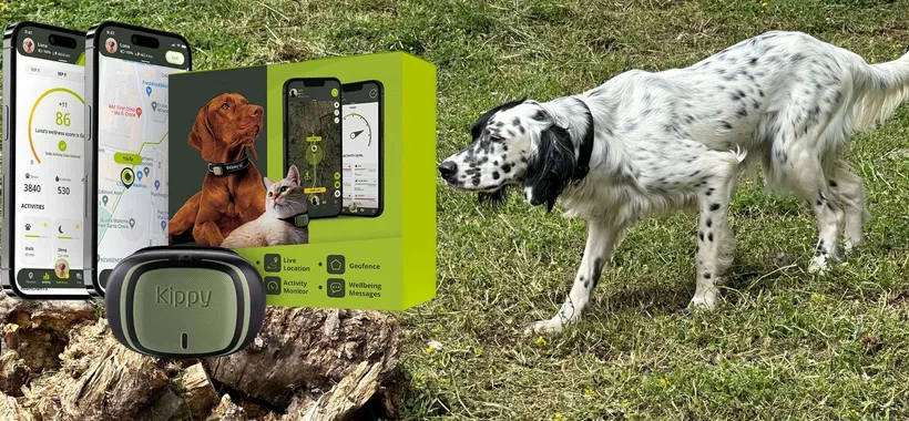 Come uno smartwatch, ma per cani e gatti: GPS, passi e calorie (ora 33€, -45%)