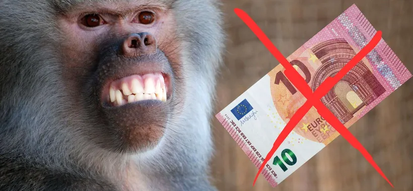 Amazon prezzi SCONCERTANTI: 5 genialate utilissime a meno di 10€