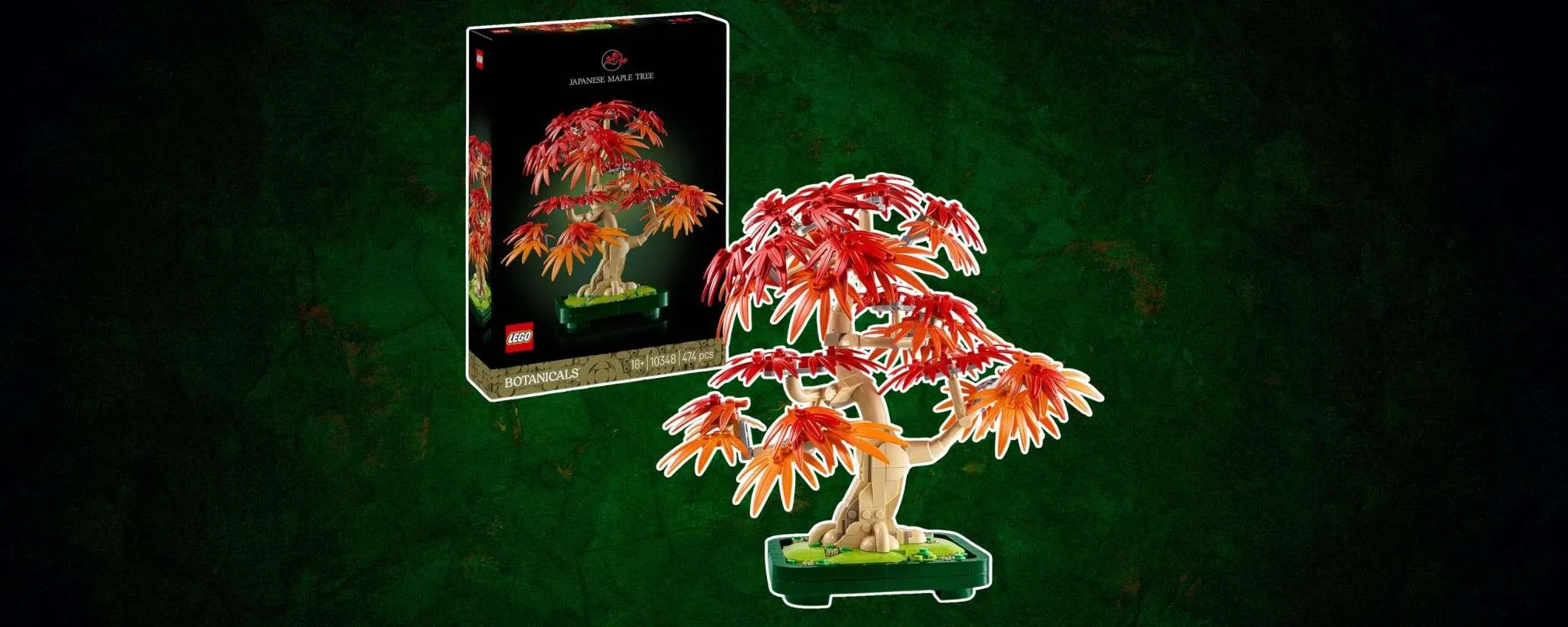 Set LEGO Bonsai Acero Rosso Giapponese: disponibile e in OFFERTA su Amazon (-17%)