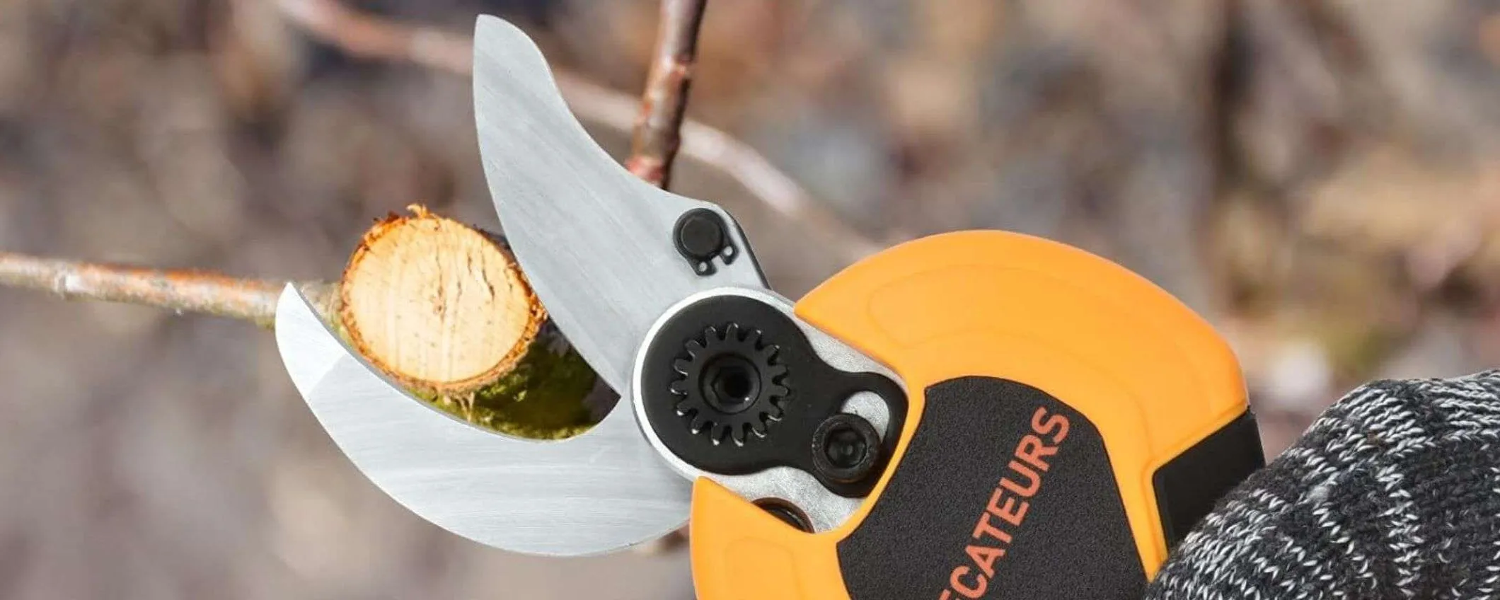 Forbici per potatura elettriche: super accessoriate e in DOPPIO SCONTO