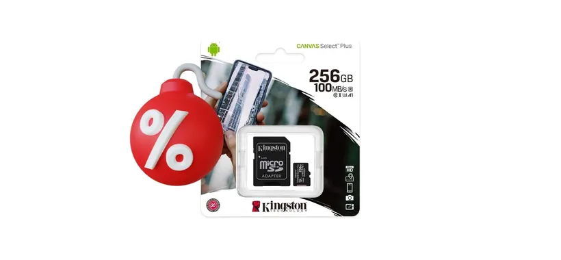 MicroSD Ultra Veloce 256GB a PREZZO FOLLE su eBay