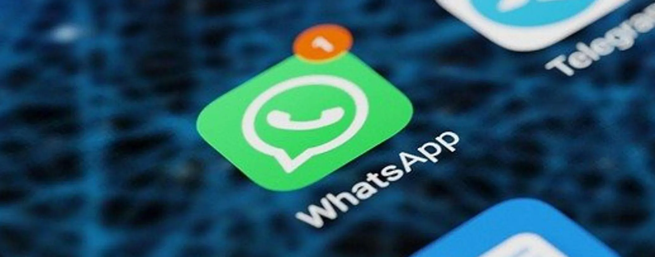 Problemi con WhatsApp? Pochi clic e potrete chattare con l'assistenza