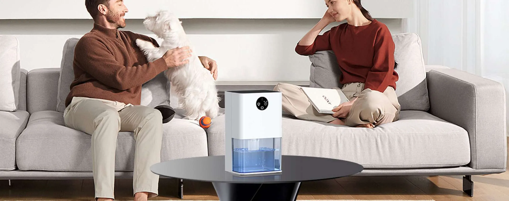 ADDIO MUFFA in casa con questo Deumidificatore Portatile a soli 43€ su Amazon