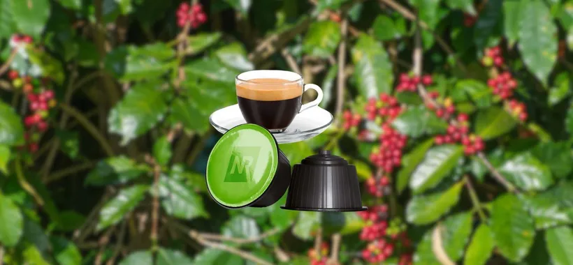 OFFERTA Capsule Caffè compatibili Dolce Gusto Espresso Bar